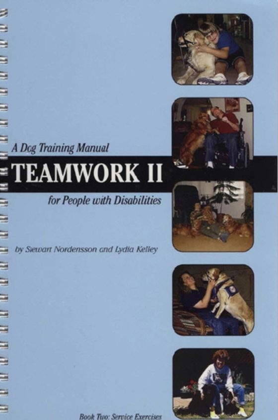 TEAMWORK II (e-bog) af Lydia Kelley