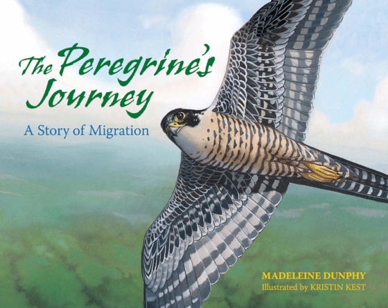 Peregrine's Journey (e-bog) af Dunphy, Madeleine