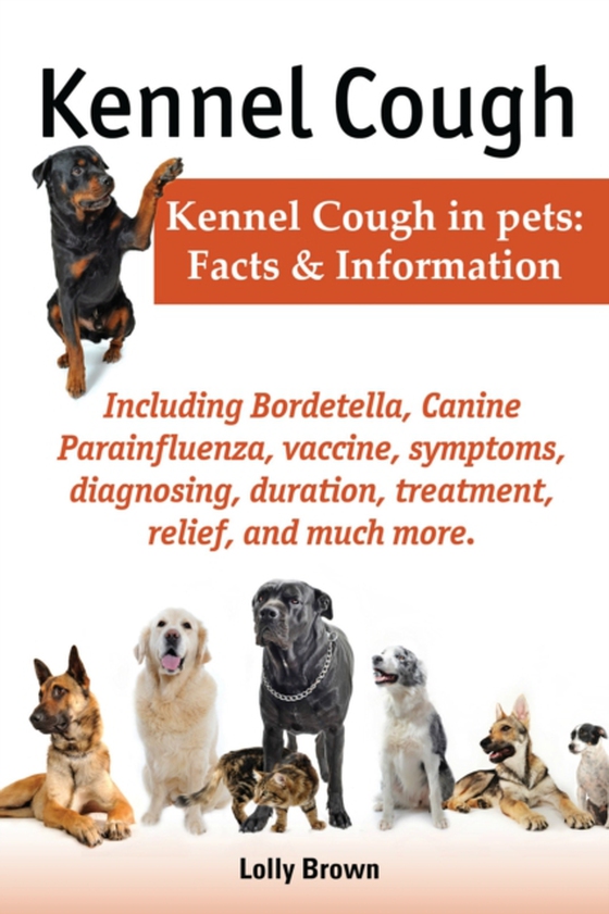 Kennel Cough