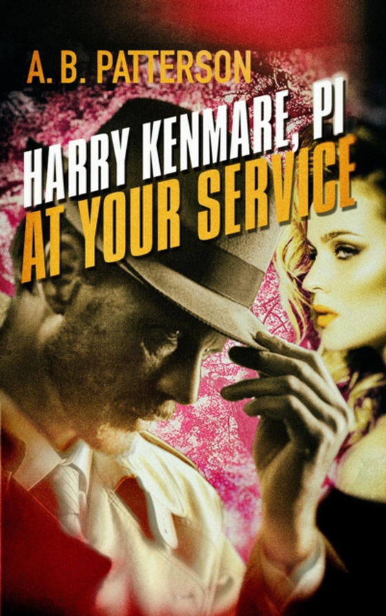 Harry Kenmare, PI - At Your Service (e-bog) af Patterson, A.B.