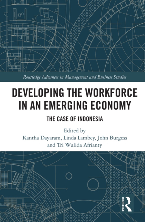 Developing the Workforce in an Emerging Economy (e-bog) af -