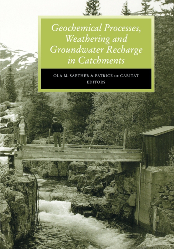 Geochemical Processes, Weathering and Groundwater Recharge in Catchments (e-bog) af Caritat, P. de