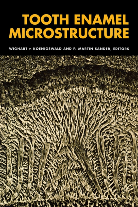 Tooth Enamel Microstructure (e-bog) af -