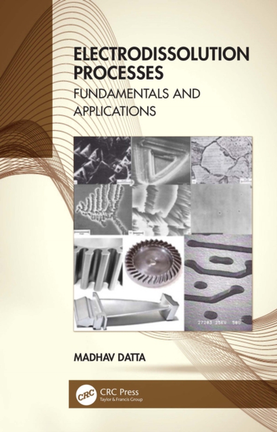 Electrodissolution Processes (e-bog) af Datta, Madhav