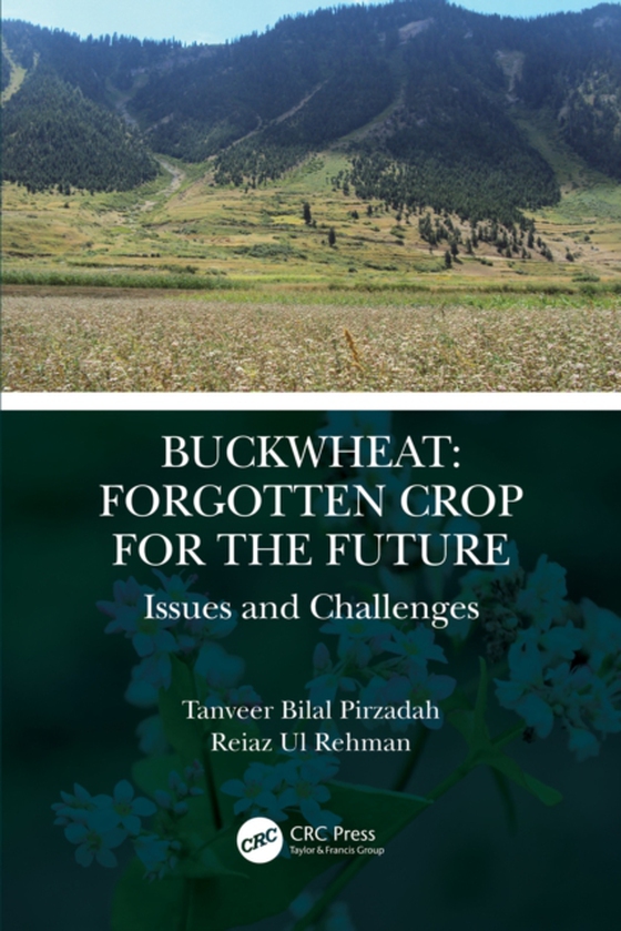 Buckwheat: Forgotten Crop for the Future