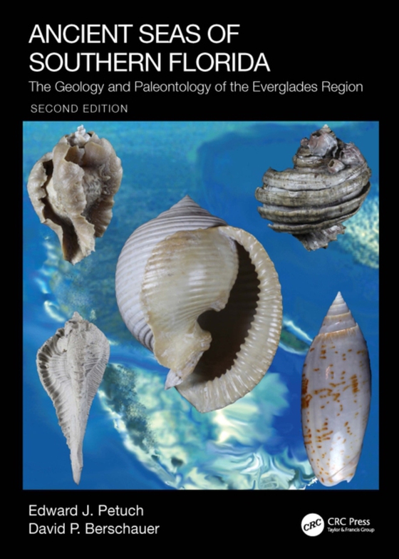 Ancient Seas of Southern Florida (e-bog) af Berschauer, David P.