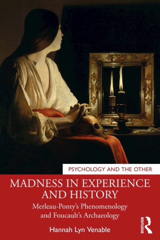 Madness in Experience and History (e-bog) af Venable, Hannah Lyn