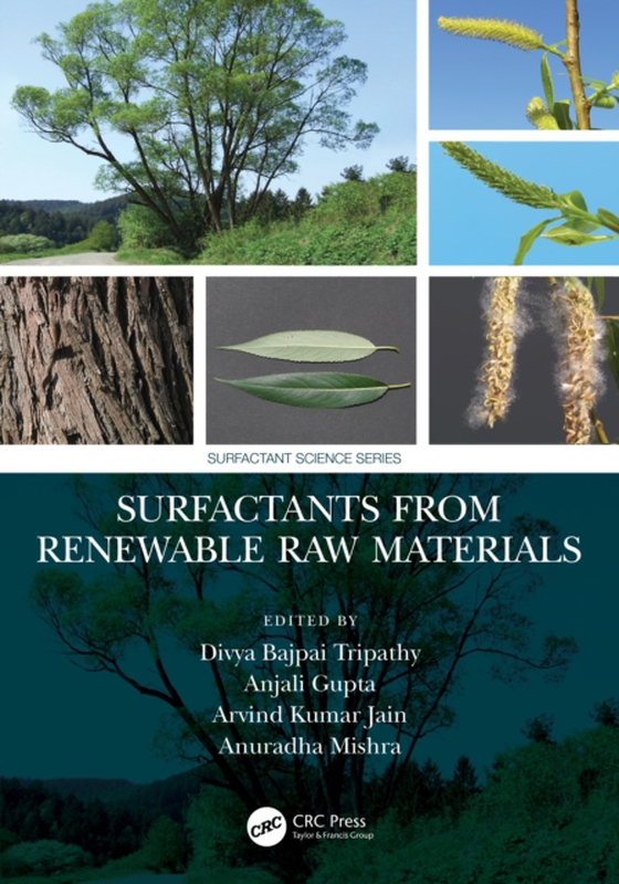 Surfactants from Renewable Raw Materials (e-bog) af -