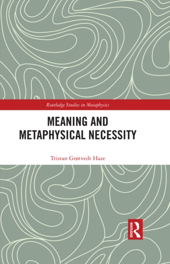 Meaning and Metaphysical Necessity (e-bog) af Haze, Tristan Grotvedt