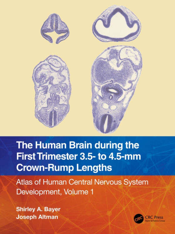 Human Brain during the First Trimester 3.5- to 4.5-mm Crown-Rump Lengths (e-bog) af Altman, Joseph