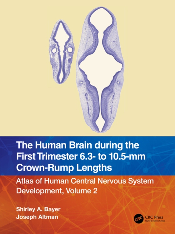 Human Brain during the First Trimester 6.3- to 10.5-mm Crown-Rump Lengths (e-bog) af Altman, Joseph