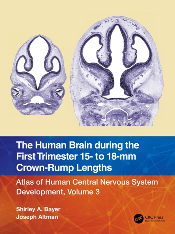 Human Brain during the First Trimester 15- to 18-mm Crown-Rump Lengths (e-bog) af Altman, Joseph