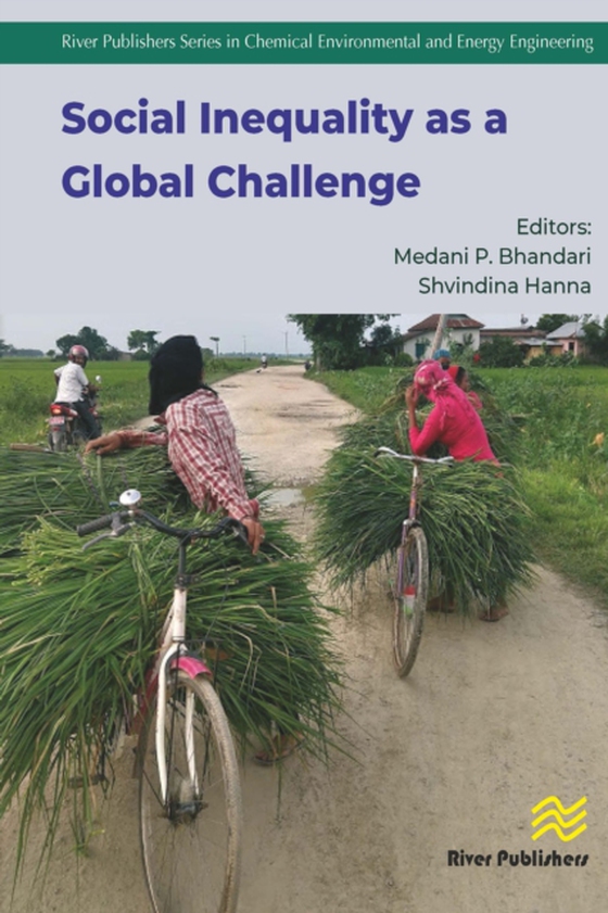 Social Inequality as a Global Challenge (e-bog) af -