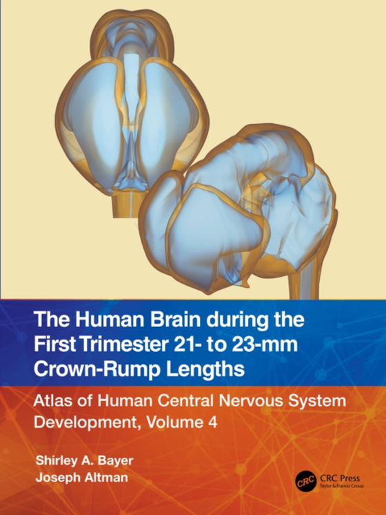 Human Brain during the First Trimester 21- to 23-mm Crown-Rump Lengths (e-bog) af Altman, Joseph