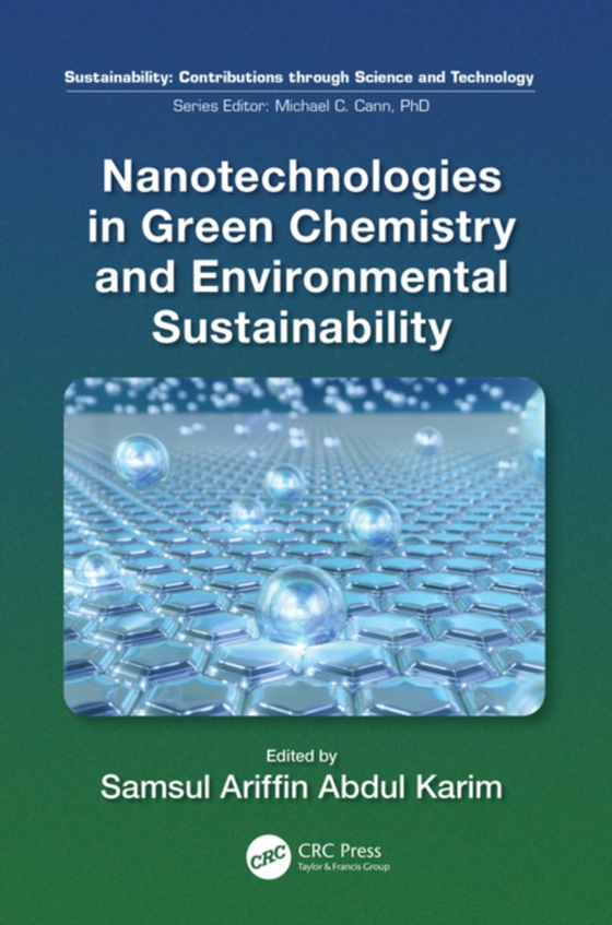 Nanotechnologies in Green Chemistry and Environmental Sustainability (e-bog) af -