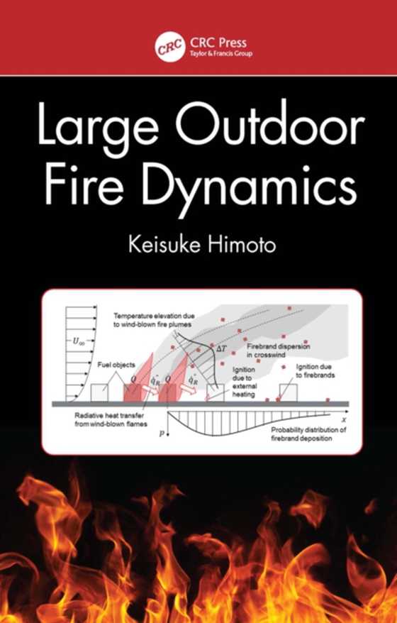 Large Outdoor Fire Dynamics