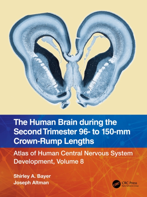 Human Brain during the Second Trimester 96- to 150-mm Crown-Rump Lengths (e-bog) af Altman, Joseph