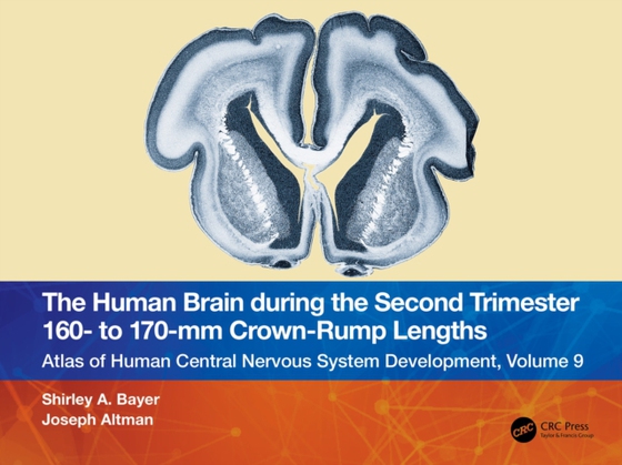 Human Brain during the Second Trimester 160- to 170-mm Crown-Rump Lengths (e-bog) af Altman, Joseph