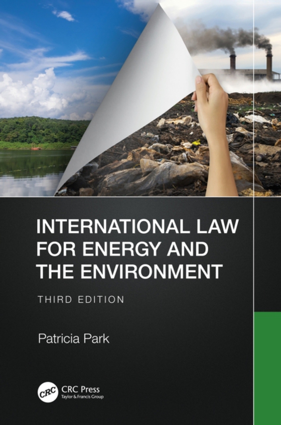 International Law for Energy and the Environment (e-bog) af Park, Patricia