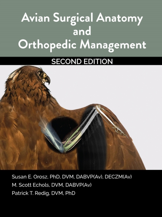 Avian Surgical Anatomy And Orthopedic Management, 2nd Edition (e-bog) af Redig, Patrick