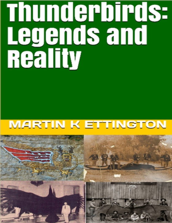 Thunderbirds: Legends and Reality (e-bog) af Ettington, Martin