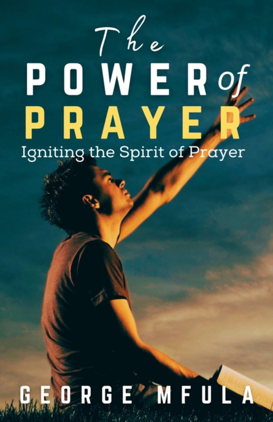 Power of Prayer (e-bog) af Mfula, George