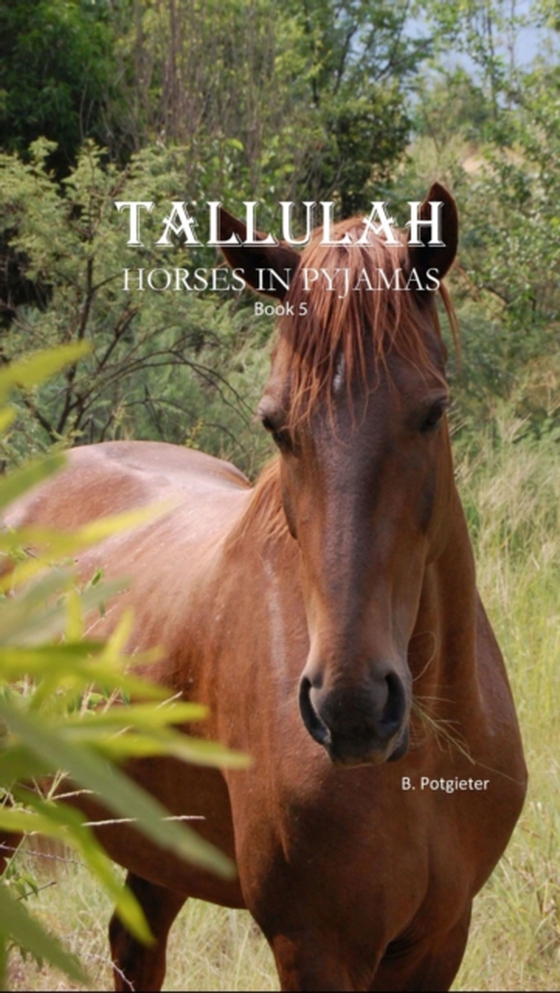 Tallulah: Horses In Pyjamas (e-bog) af Potgieter, B.