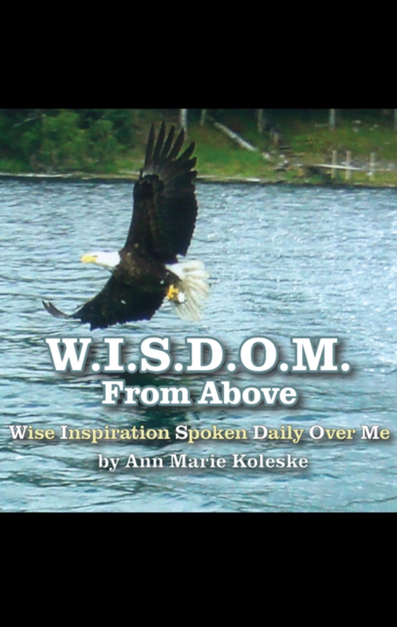 W.I.S.D.O.M. from Above (e-bog) af Koleske, Ann Marie