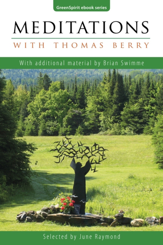 Meditations with Thomas Berry: With additional material by Brian Swimme (e-bog) af Raymond, June