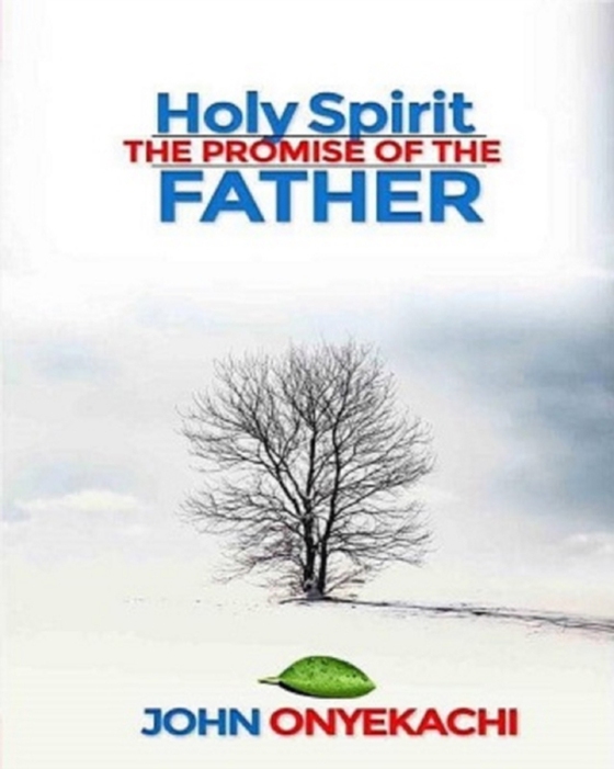 Holy Spirit: The Promise of the Father (e-bog) af Onyekachi, John