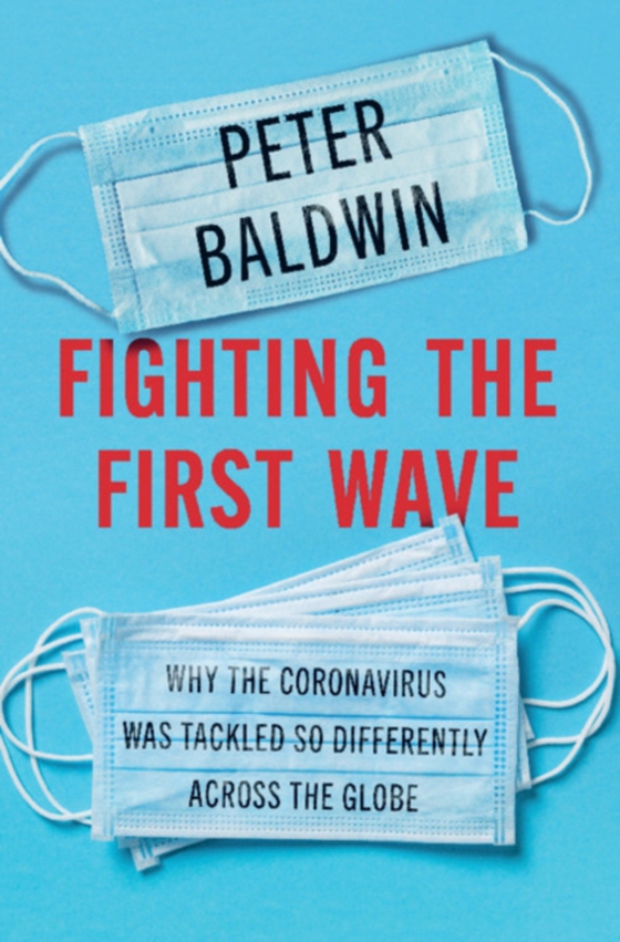 Fighting the First Wave (e-bog) af Baldwin, Peter