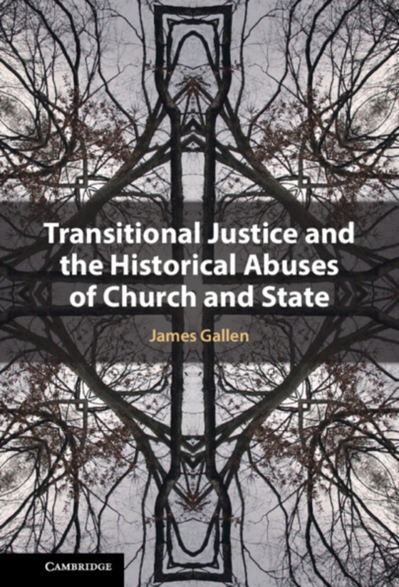 Transitional Justice and the Historical Abuses of Church and State (e-bog) af Gallen, James