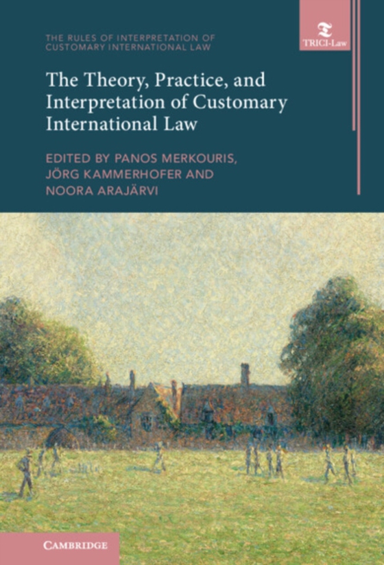 Theory, Practice, and Interpretation of Customary International Law (e-bog) af -
