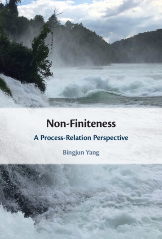 Non-Finiteness (e-bog) af Yang, Bingjun