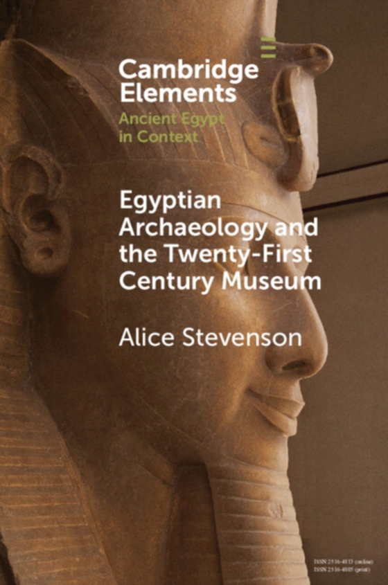 Egyptian Archaeology and the Twenty-First Century Museum (e-bog) af Stevenson, Alice