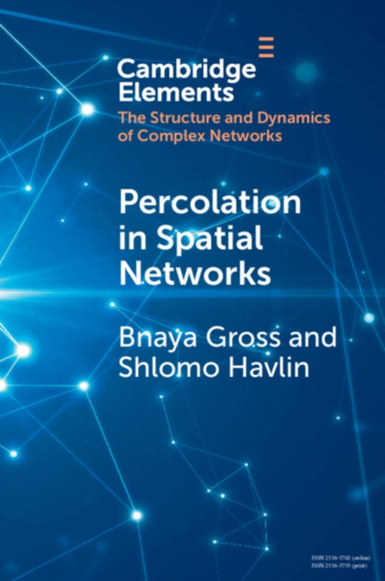 Percolation in Spatial Networks (e-bog) af Havlin, Shlomo