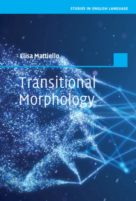 Transitional Morphology (e-bog) af Mattiello, Elisa