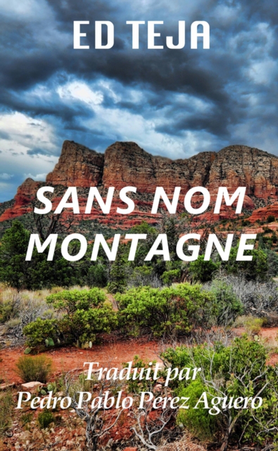 Sans Nom Montagne (e-bog) af Teja, Ed