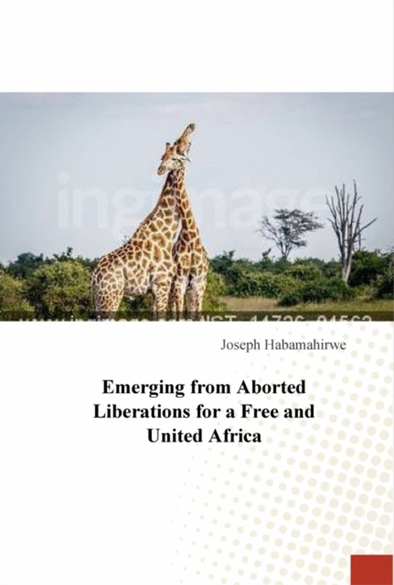 Emerging from Aborted Liberations for a Free and United Africa (e-bog) af Habamahirwe, Joseph