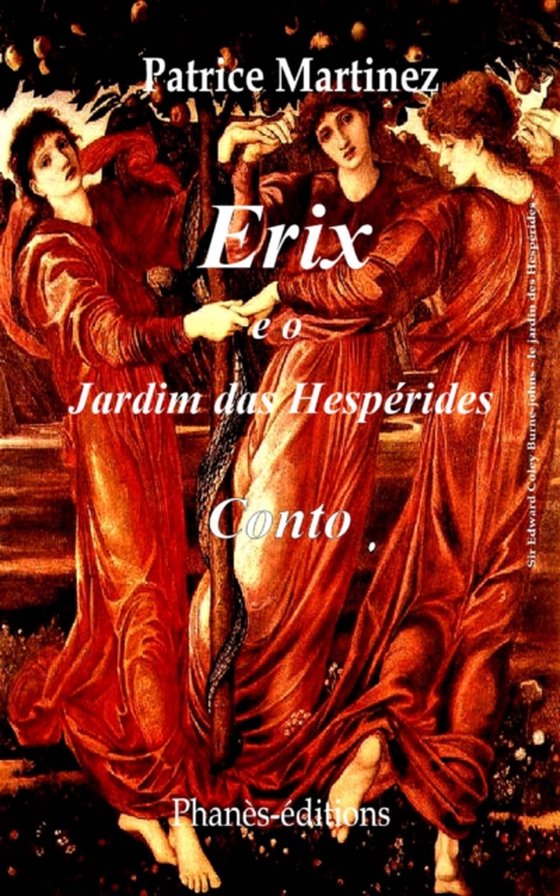 Erix e o jardim das Hespérides (e-bog) af Martinez, Patrice