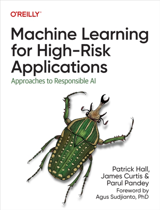 Machine Learning for High-Risk Applications (e-bog) af Pandey, Parul