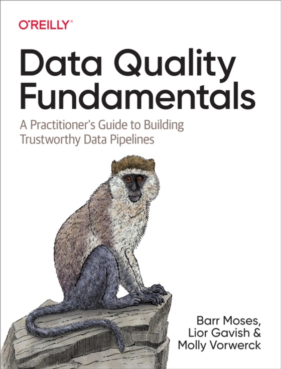 Data Quality Fundamentals (e-bog) af Vorwerck, Molly