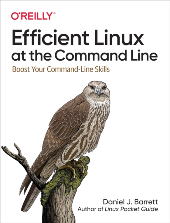 Efficient Linux at the Command Line (e-bog) af Barrett, Daniel J.