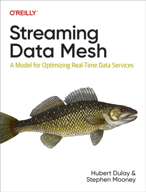 Streaming Data Mesh (e-bog) af Mooney, Stephen