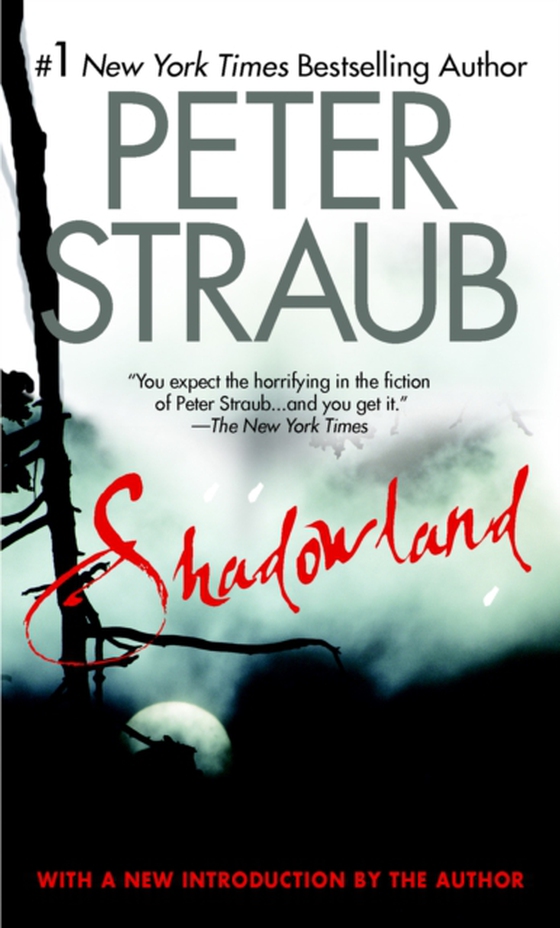 Shadowland (e-bog) af Straub, Peter