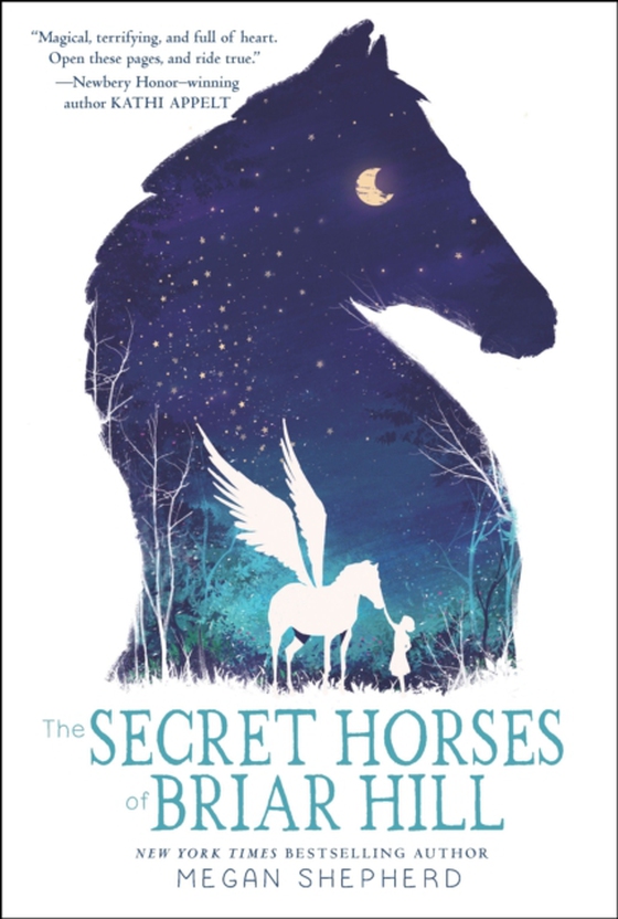 Secret Horses of Briar Hill