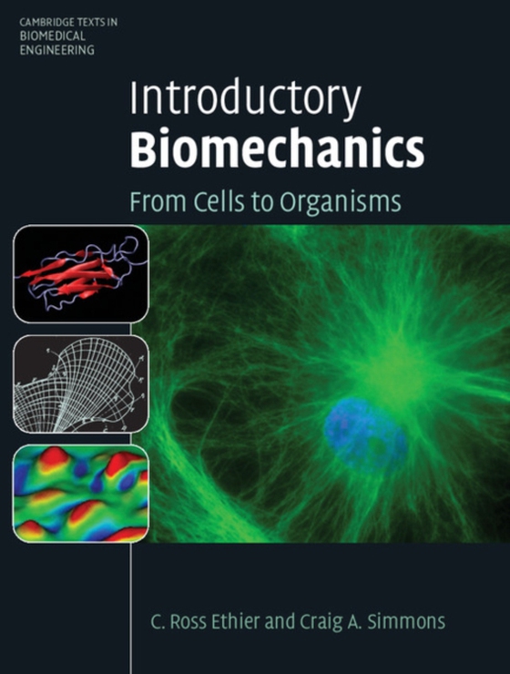 Introductory Biomechanics