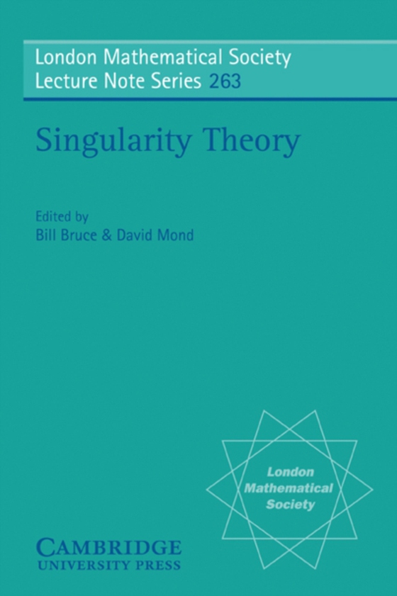 Singularity Theory (e-bog) af -