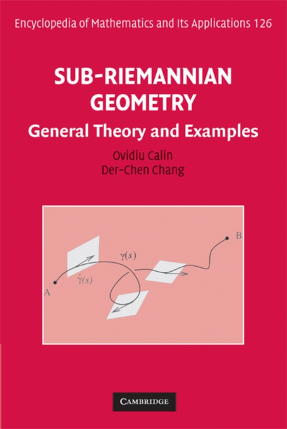 Sub-Riemannian Geometry (e-bog) af Chang, Der-Chen