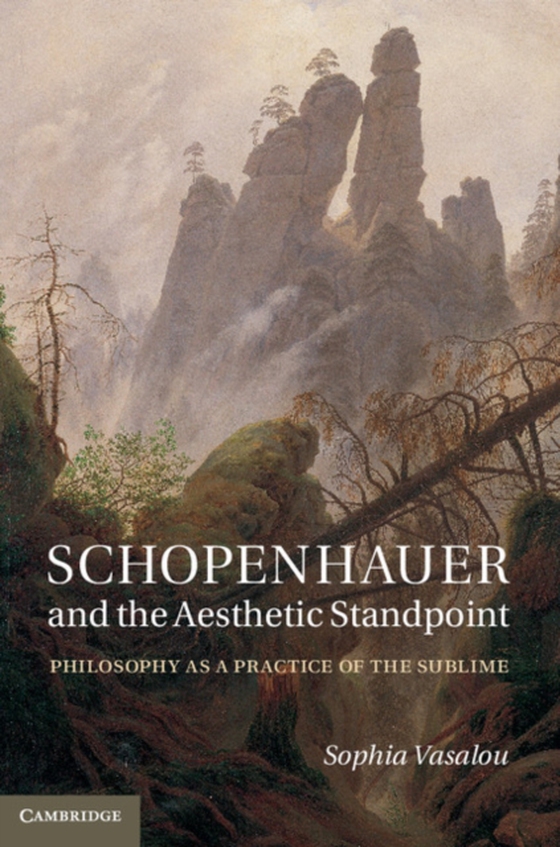 Schopenhauer and the Aesthetic Standpoint (e-bog) af Vasalou, Sophia